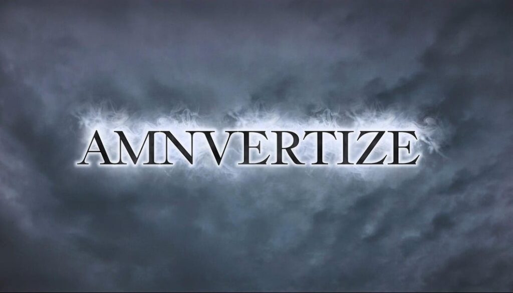 amnvertize picture